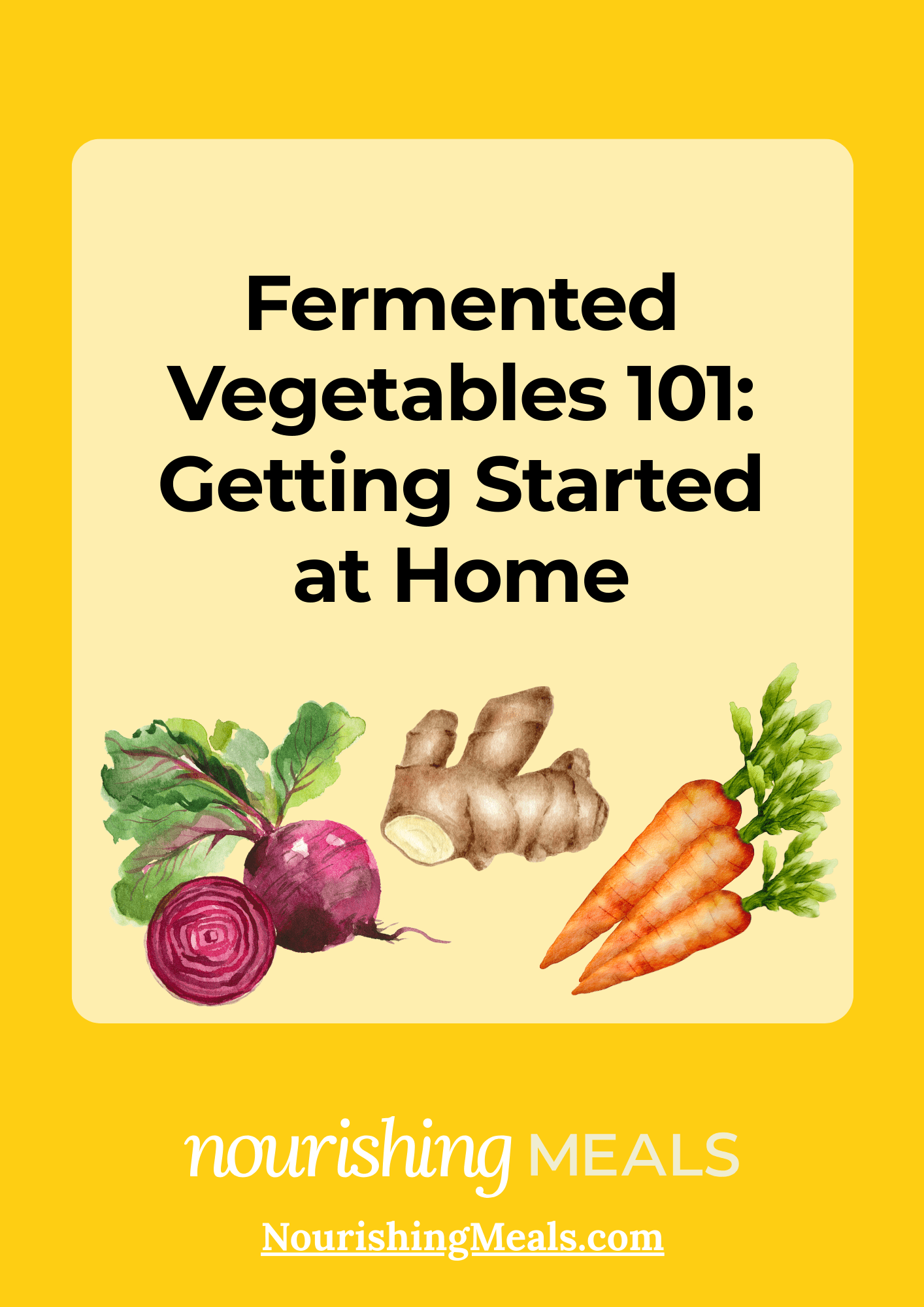 FERMENTED VEGGIES GUIDE COVER